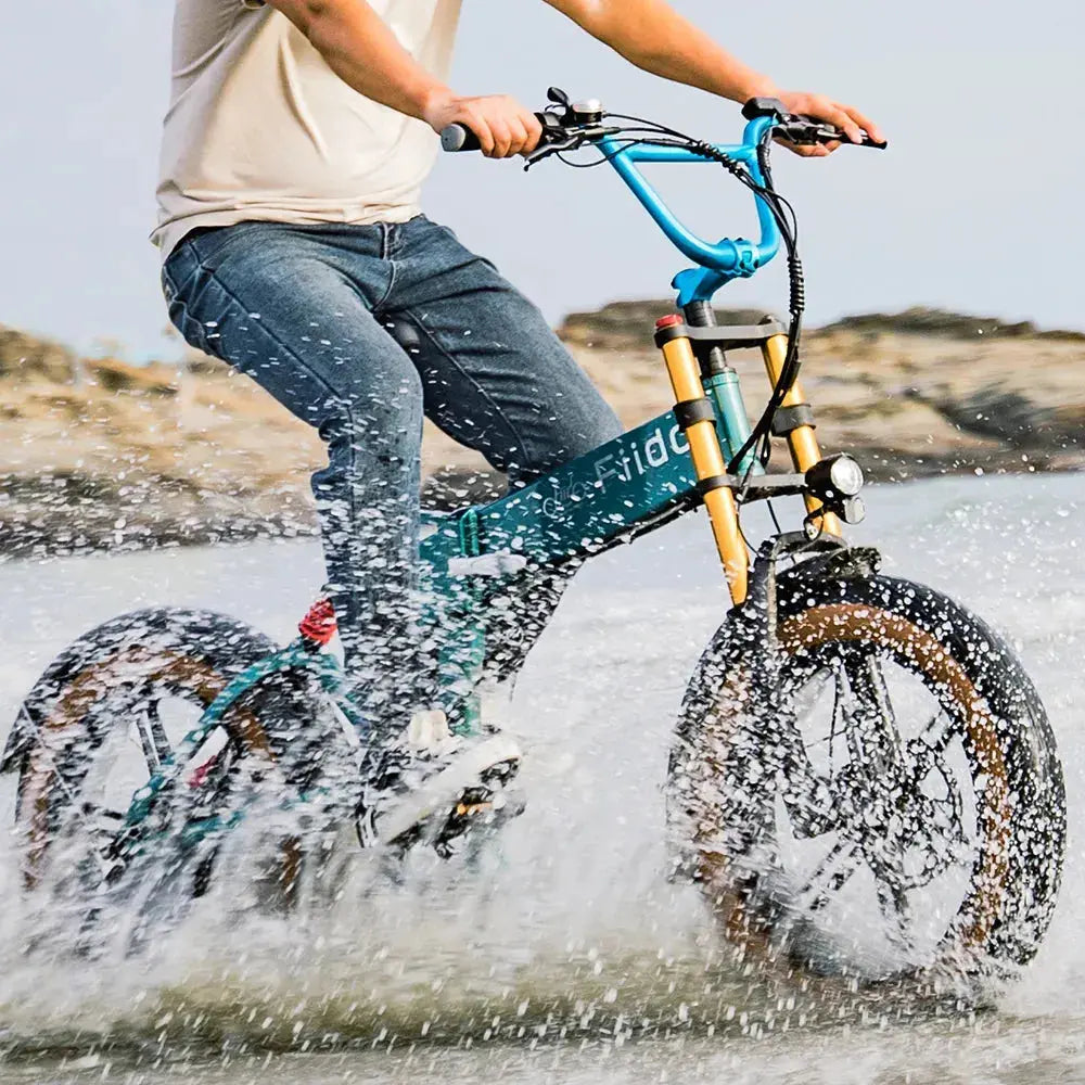 Fiido M1 Pro Fat Tyre Electric Bike for Lifty Electric Google Ireland Bike to Work guide