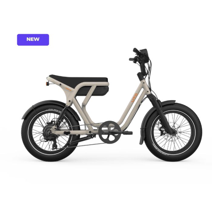 Can a Cargo E-Bike Replace Your Second Car in Ireland? - Lifty Electric
