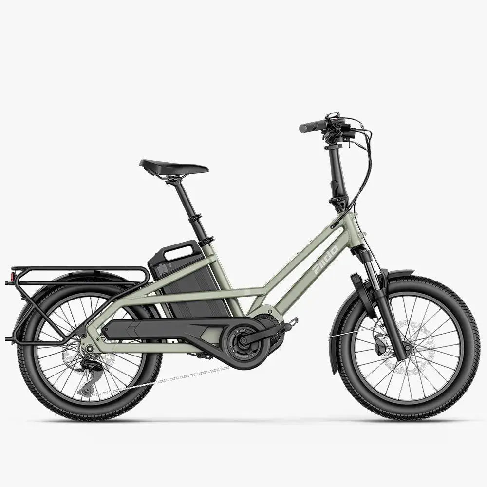 Fiido T3 Family Cargo Electric Bike front product view in Ireland