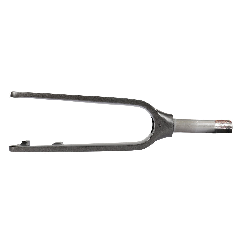 Fiido Front fork d21