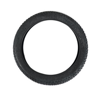 Fiido Outer Tire for Titan