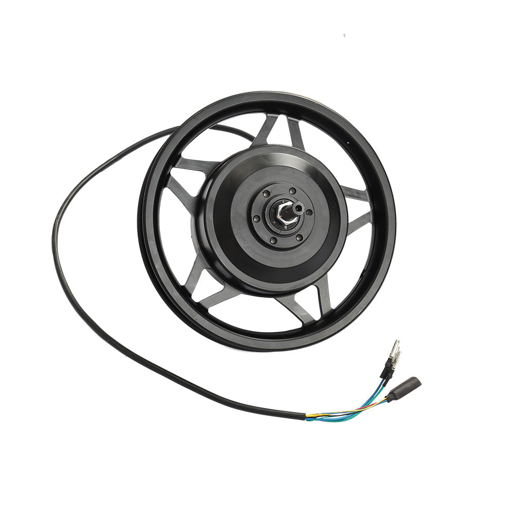 Fiido Motor q1