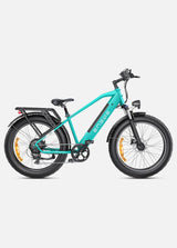 ENGWE E26 Electric Bike plain product image 5