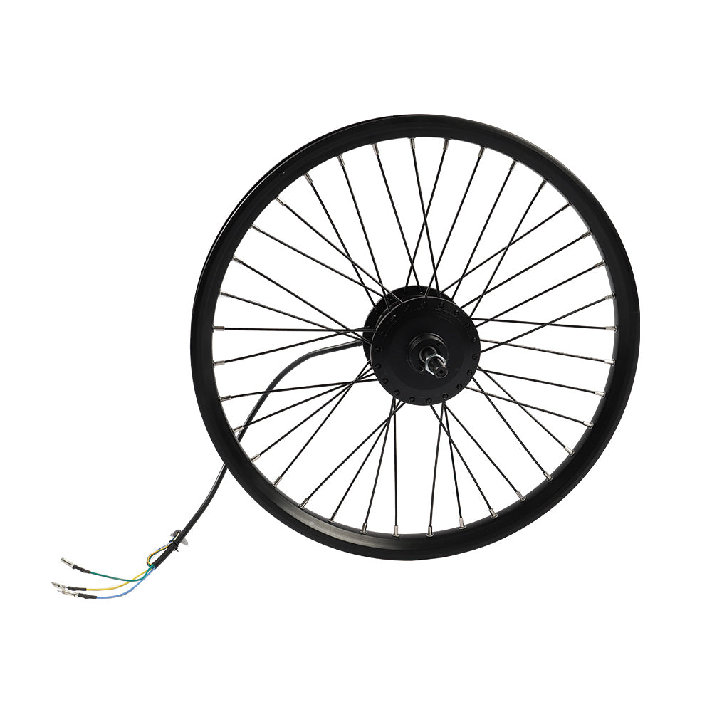 Fiido Rear wheel components d11/d21/d21