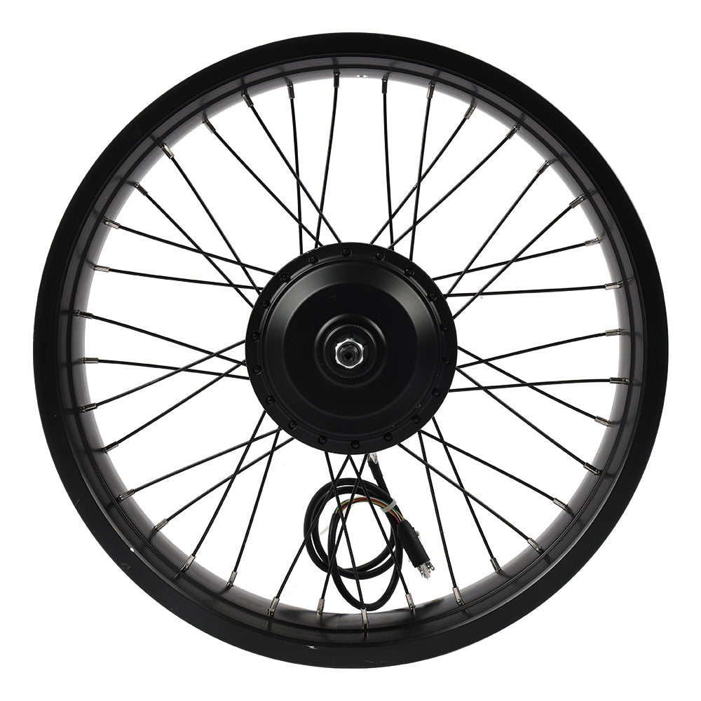 Fiido Rear wheel components m1pro