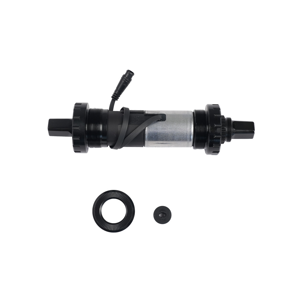 Fiido Torque Sensor for Titan