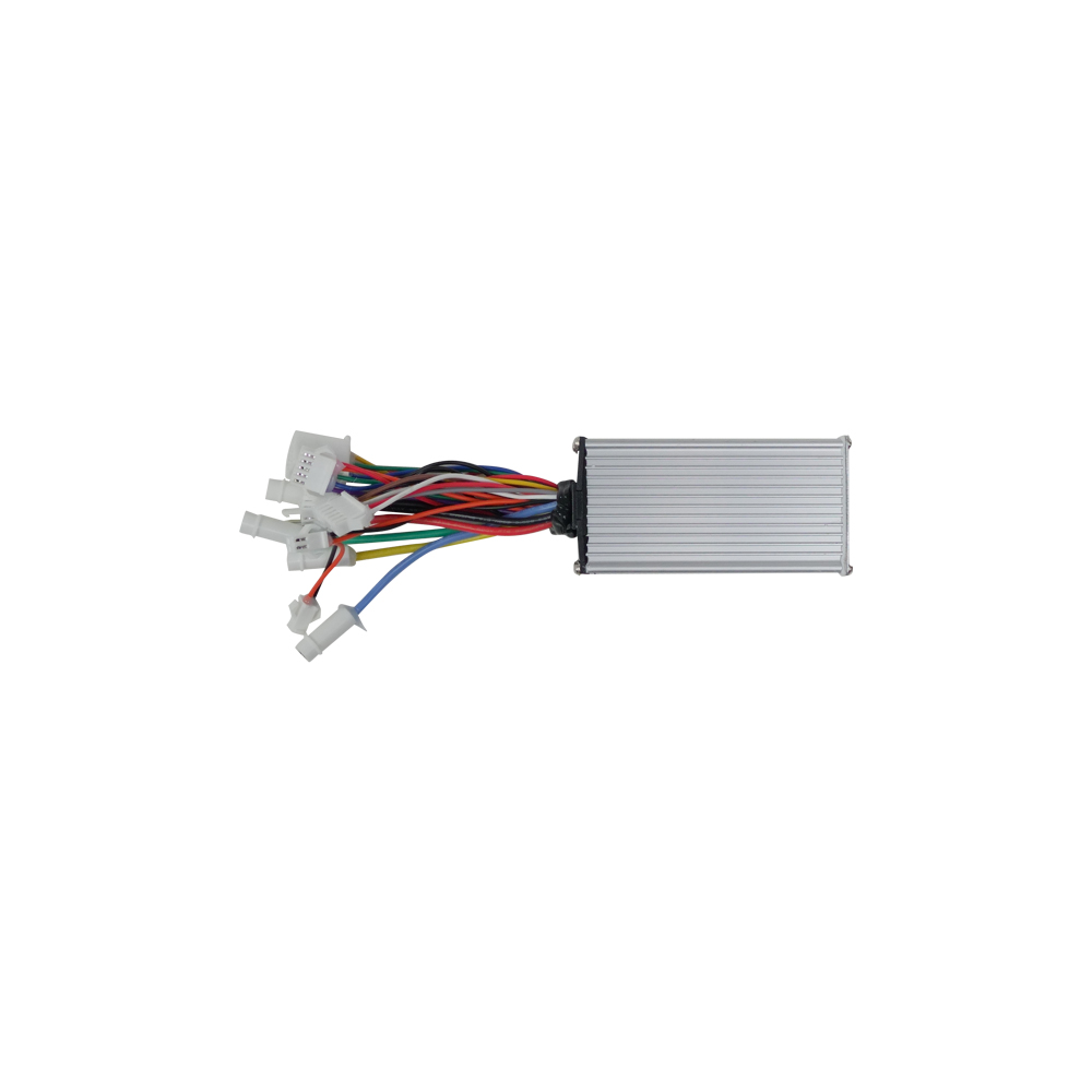 Fiido Controller for L3