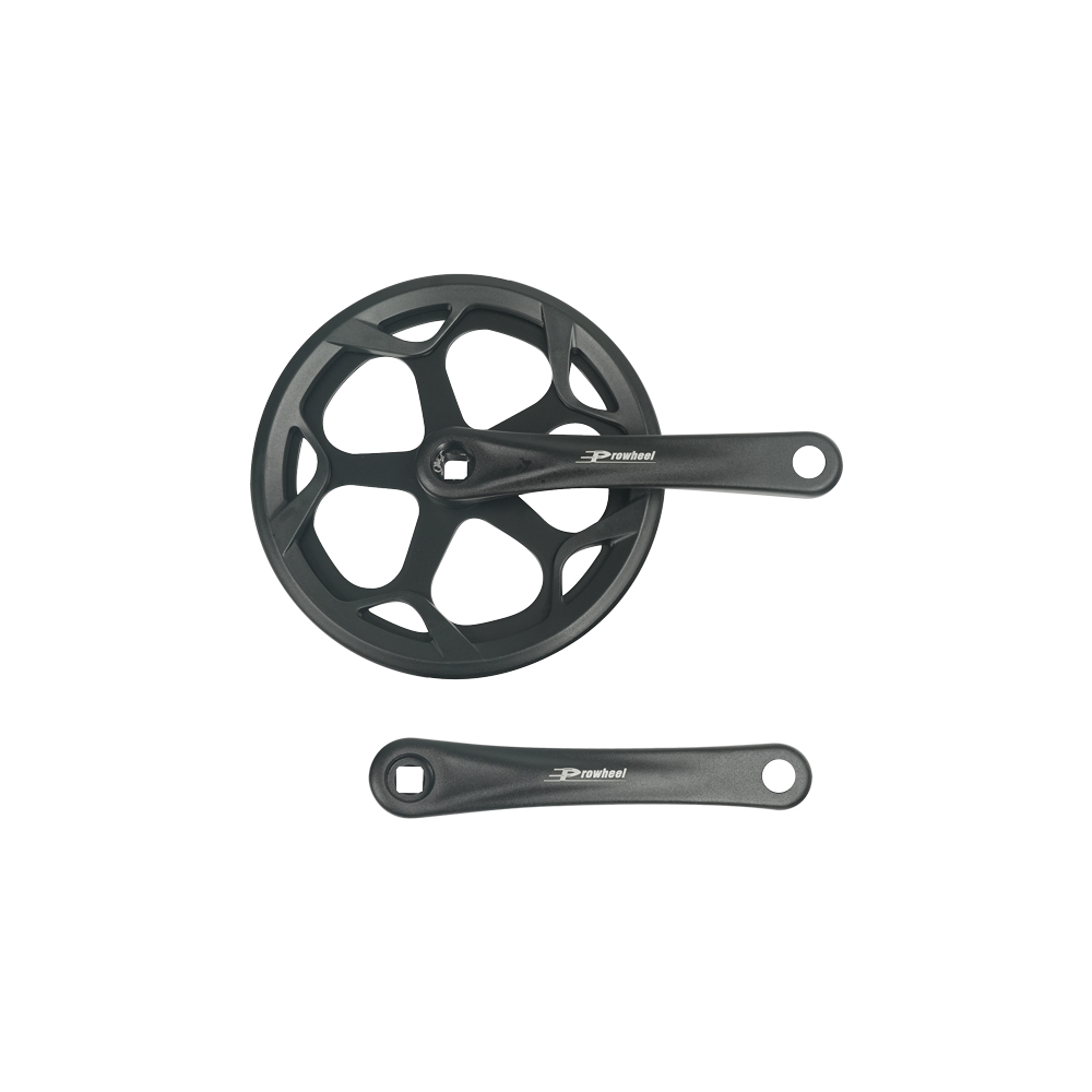 Fiido Disk Crankset for C11