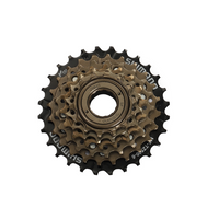 Fiido Freewheel for C11 (old version,6-speed)