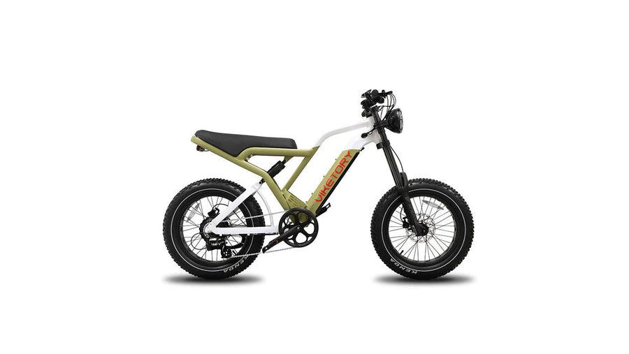 Fat Tyre E-Bikes