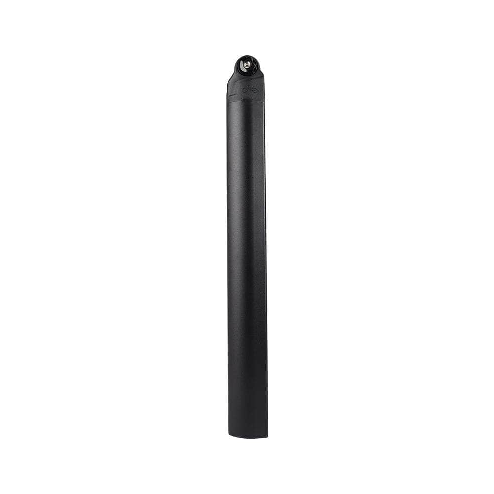 Fiido Replacement  Battery for X
