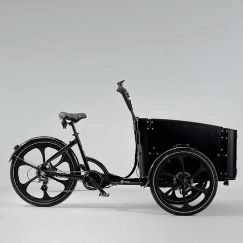 Cargobike of Sweden Delight Electric Cargo Bike