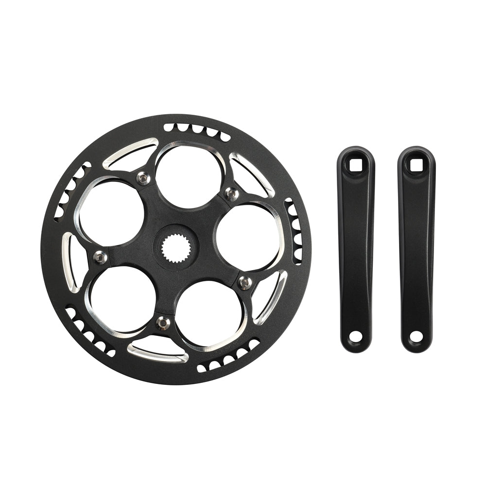 Fiido Chainwheel and Cranks for D21