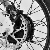 COMMANDO Fat-Bike - Lifty Electric