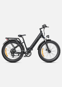ENGWE E26 Electric Bike