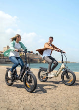 ENGWE L20 3.0 Boost Electric Bike - Lifty Electric