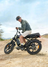 ENGWE M1 Electric Bike - Lifty Electric