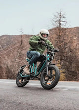 ENGWE M20 Electric Bike - Lifty Electric