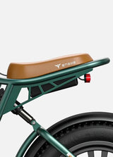ENGWE M20 Electric Bike - Lifty Electric