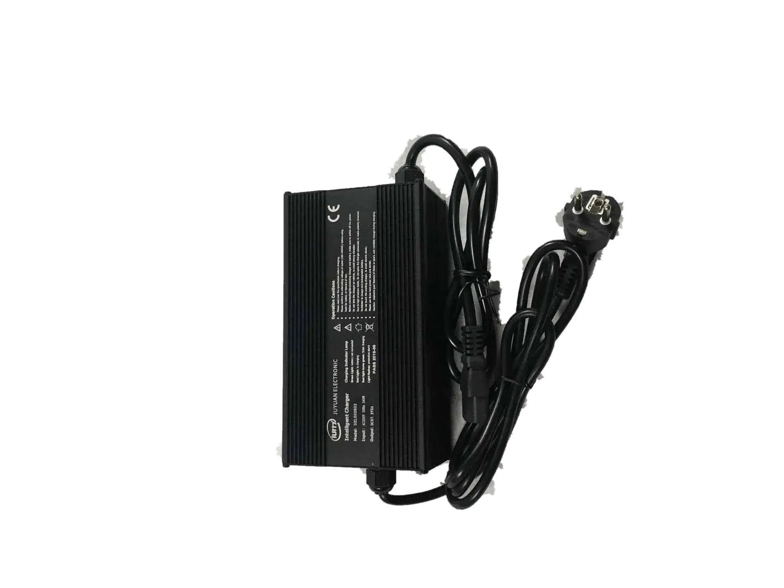 Fast Charger 67.2V 5A Lifty Electric Road Aluminum - Lifty Electric