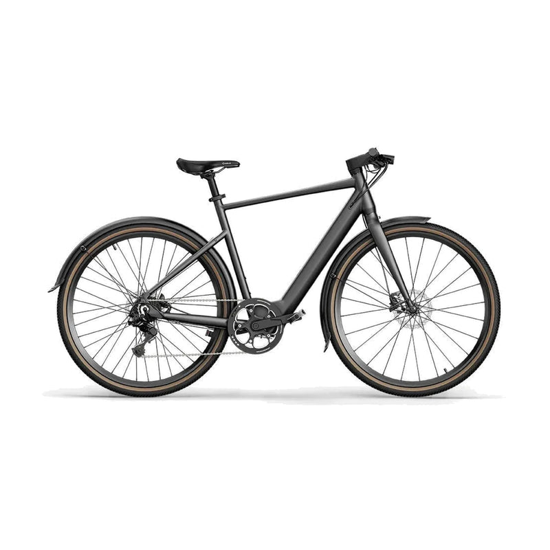Fiido C21 E-Gravel Electric Bike on a white background
