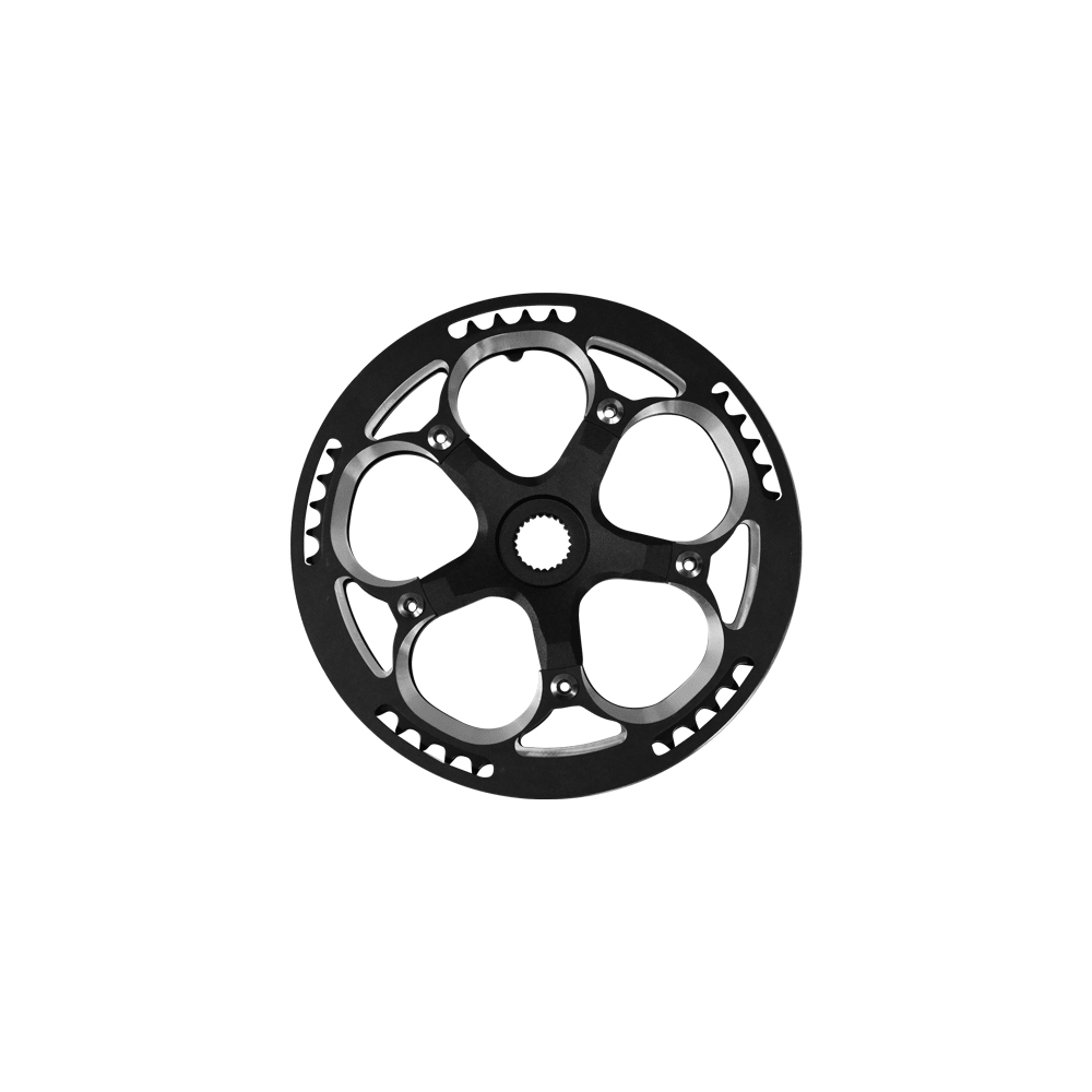 Fiido Chain disk for C21/M1 Pro 2025/D11 2025 - Lifty Electric
