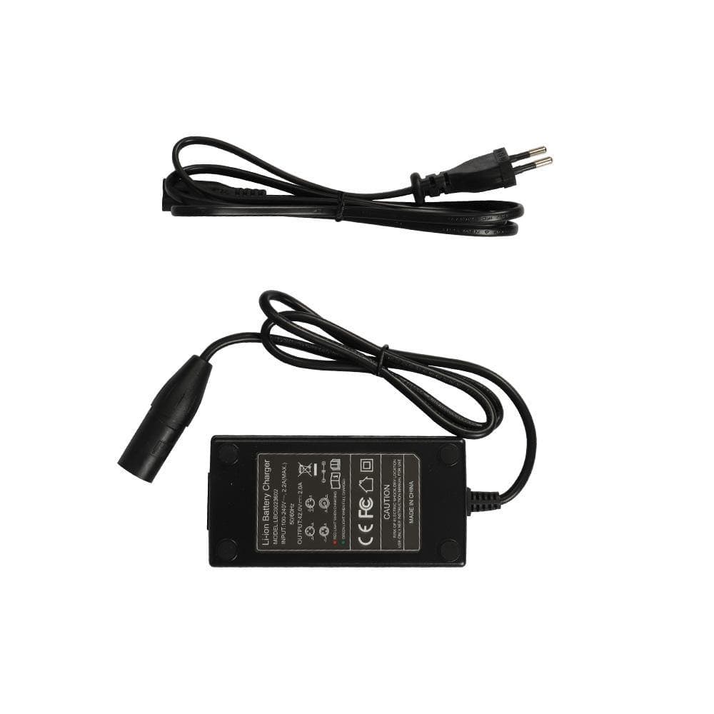 Fiido Charger for D3/D3S/D3 pro - Lifty Electric