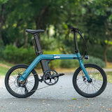 Fiido D11 Folding Electric Bike - Lifty Electric