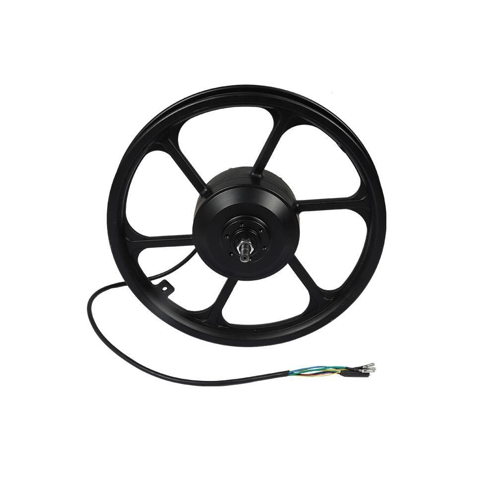 Fiido D2 Motor - Lifty Electric