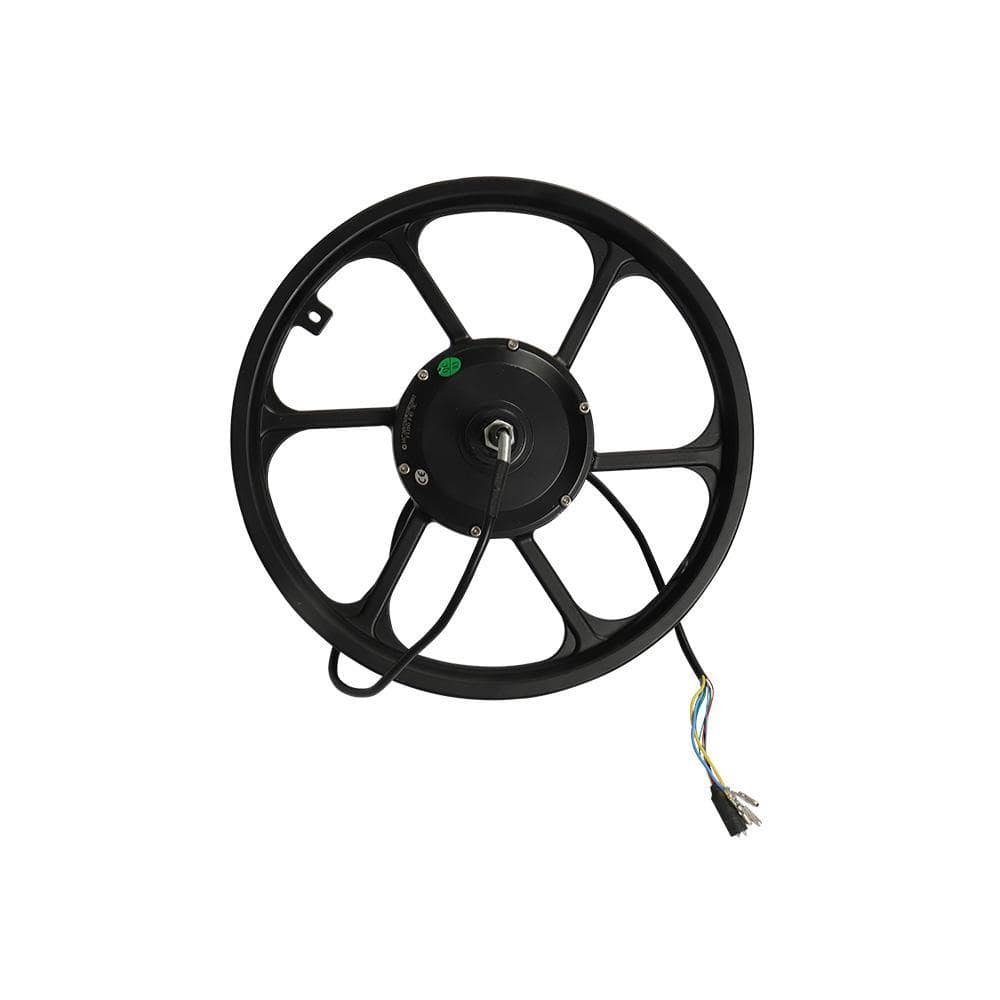 Fiido D2s Motor — Part 3.001.F4S001 - Lifty Electric