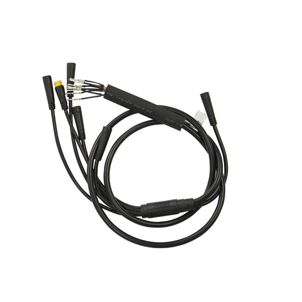 Fiido Electric Bike Monitoring Cable for D11 - Lifty Electric