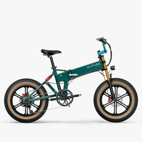 Fiido M1 Pro Fat Tyre Electric Bike