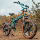 Fiido M1 Pro Fat Tyre Electric Bike - Lifty Electric