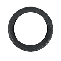 Fiido Outer Tire for Titan