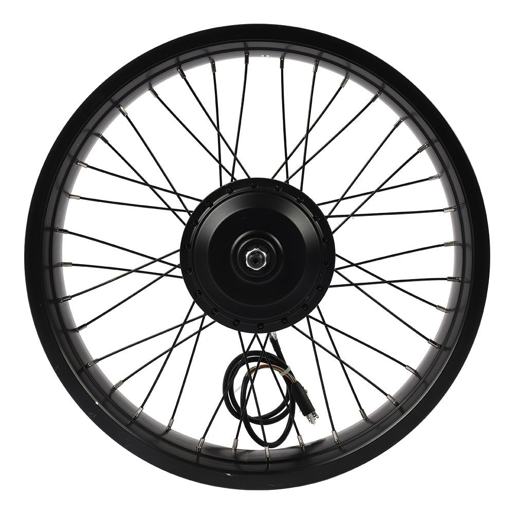 Fiido Rear Wheel Components for M21 - Lifty Electric