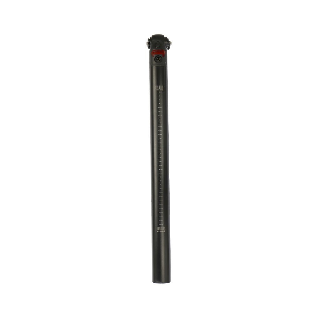 Fiido Replacement Battery for D21 - Lifty Electric