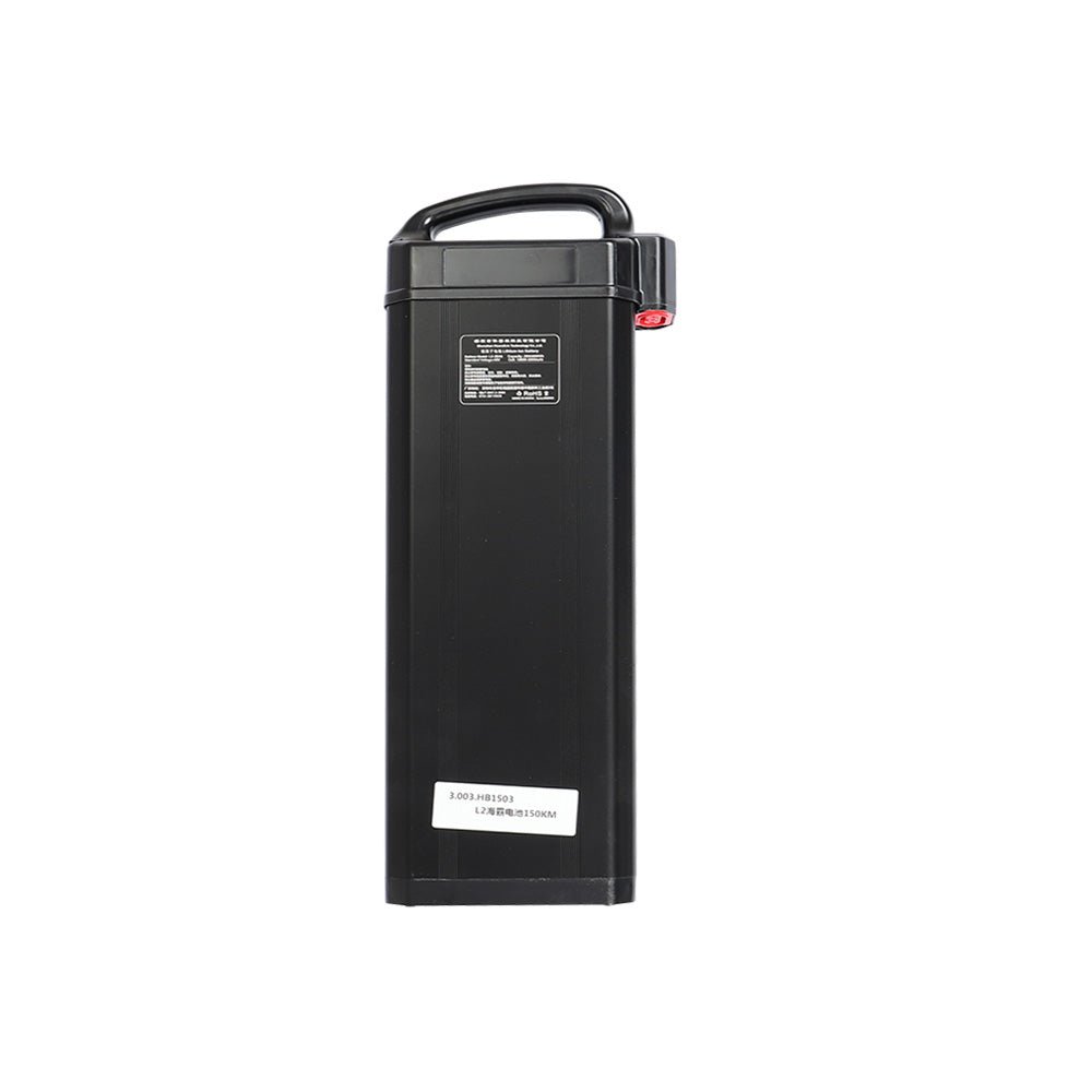 Fiido Replacement Battery for L2 - Lifty Electric