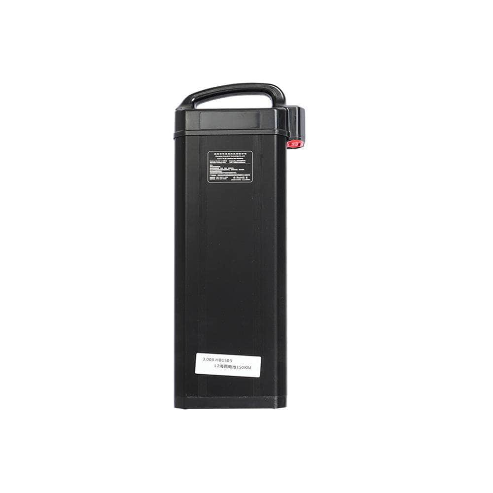 Fiido Replacement Battery for L3 - Lifty Electric