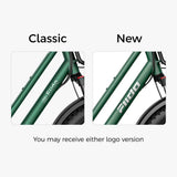 Fiido T2 Longtail Cargo Electric Bike - Lifty Electric