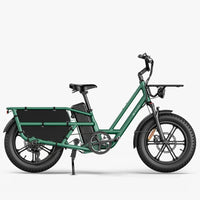 Fiido T2 Longtail Cargo Electric Bike
