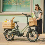 Fiido T3 Family Cargo Electric Bike - Lifty Electric