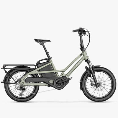 Fiido T3 Family Cargo Electric Bike