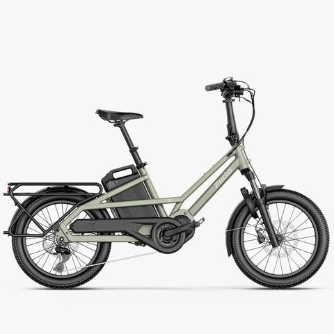 Fiido T3 Family Cargo Electric Bike