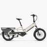 Fiido T3 Max Longtail Cargo Electric Bike