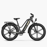 Fiido Titan Fat Tyre Touring Electric Bike - Lifty Electric