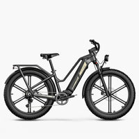 Fiido Titan Fat Tyre Touring Electric Bike