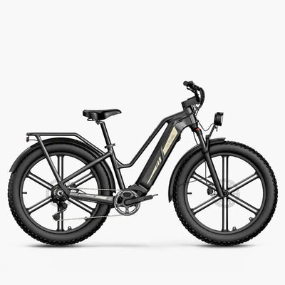Fiido Titan Fat Tyre Touring Electric Bike