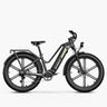 Fiido Titan Fat Tyre Touring Electric Bike