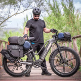 Fiido Titan Fat Tyre Touring Electric Bike - Lifty Electric