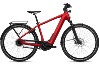 Flyer G1 Upstreet 5.40 CH Diamond Frosty Sage Gloss E-Bike